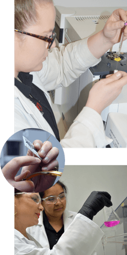 Cardinal Laboratories logo