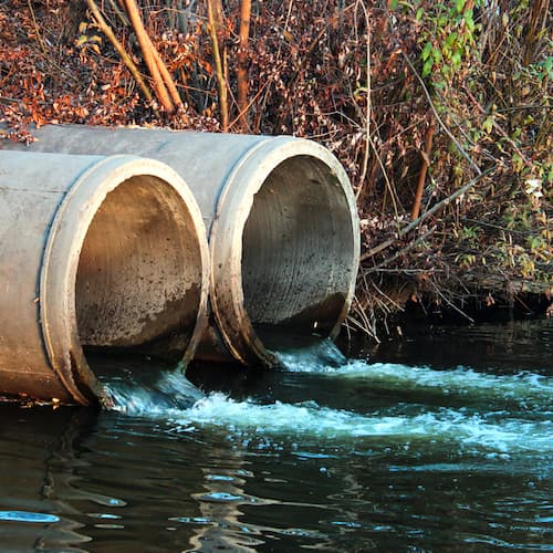 NEW ENGLAND BIOASSAY logo