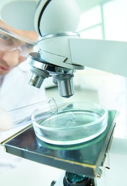 PARADIGM ENVIRONMENTAL SERVICES INC logo