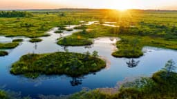 Tetra Tech Inc Ecological Testing Facility logo