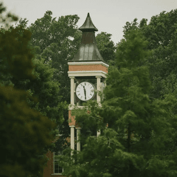 Texas Research Institute for Environmental Studies logo