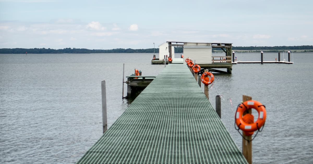 UNIVERSITY OF MARYLAND, CBL-NASL logo